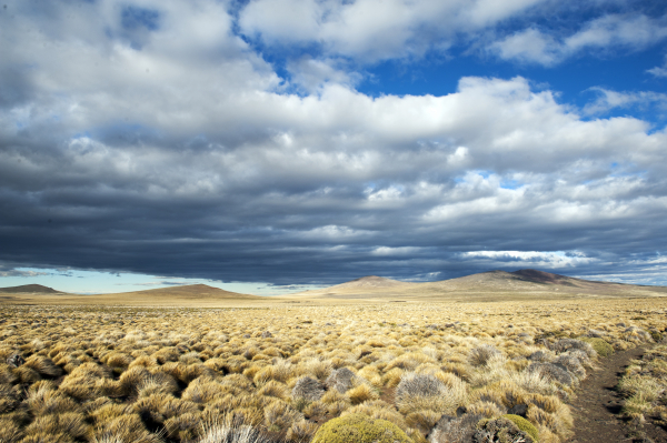 parque nacional patagonia